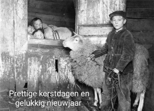 Bijenbedstee eneriegbesparend