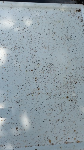 IMG-20240715-WA0000.jpeg