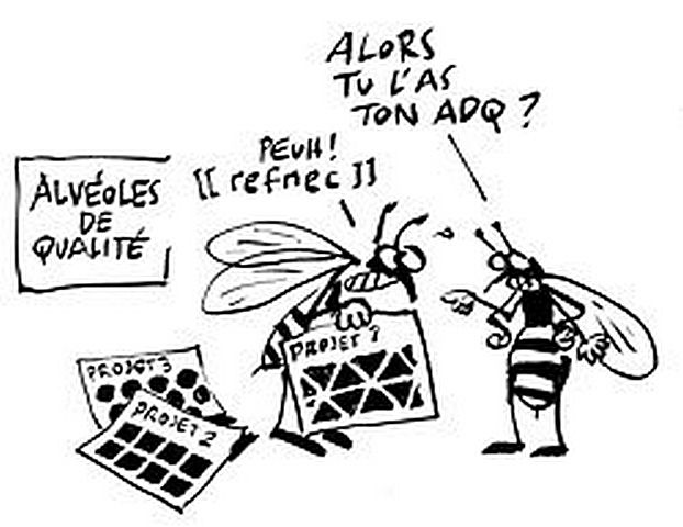 Bac pour l'abeille.jpg