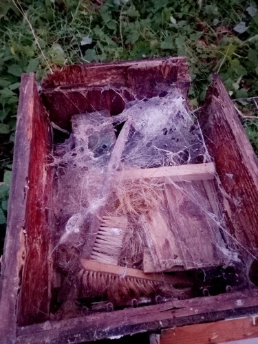 20250102_225624.jpg