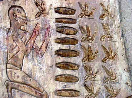 BeekeepingAncientEgypt_pabasa.jpg