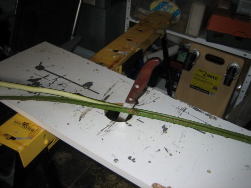 Een plankje hardboord met een gat er in om te snijden, door de stengel op de plank te drukken is het makkelijk met het mes in het midden van de stengel te snijden gebruik een scherp mes en doordat je het mes in het gat laat snijden is het niet mogelijk om in je vingers te snijden ,deze plank is wel belangrijk.