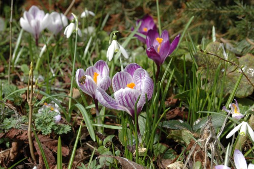 DSC_4920.JPG
