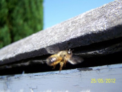 100_3273.JPG