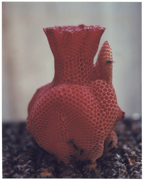 The Honeycomb Vase
