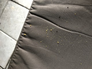 Gemorste leemkorrels van de Rosse metselbij.