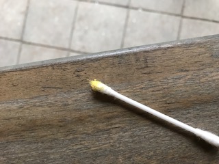Stuifmeel-uitstrijkje van boorgat in een tuintafel bij landbouwer.