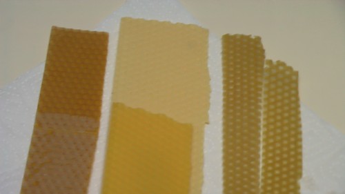 IMGA0001.JPG