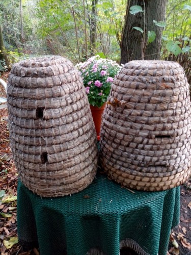 Gespijlde Cluytkorf met sporken<br />van Sporkenhout ofwel onterecht<br />misprijzend vuilboom genoemd<br /> Citroenvlinderboom en Bijenboompje waren beter geweest.
