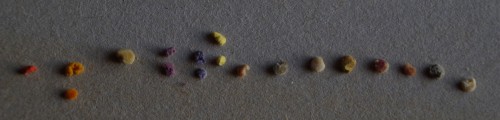 pollenkleuren overzicht