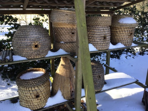 Vijf bevolkte korven in de sneeuw (Met wat lege korven en wat andere benodigdheden)