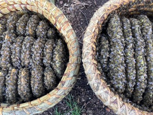 Je kan het eerlijk gezegd niet zo vreselijk goed zien, maar neem van mij aan, als je ervoor hebt gestaan, dan zie je met een oogopslag in welke toestand die rechter korf verkeert. Bij die linker is dat veel lastiger.