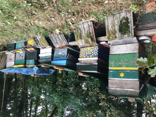 Ondanks de tand des tijds 'n plaatje  dus sieraad voor huis en hof.